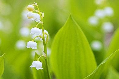 分析师：截止8月底 《星球大战：亡命之徒》销量破80万